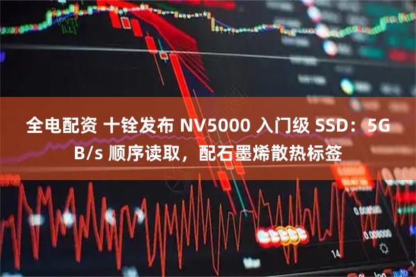 全电配资 十铨发布 NV5000 入门级 SSD：5GB/s 顺序读取，配石墨烯散热标签