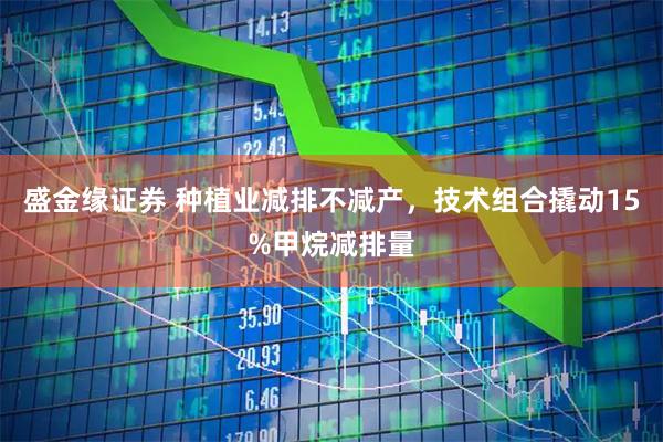 盛金缘证券 种植业减排不减产，技术组合撬动15%甲烷减排量