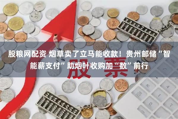 股粮网配资 烟草卖了立马能收款！贵州邮储“智能薪支付”助烟叶收购加“数”前行