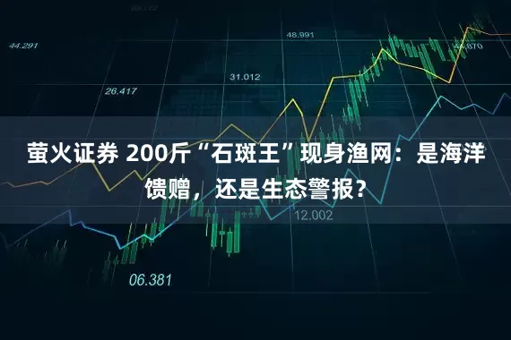 萤火证券 200斤“石斑王”现身渔网：是海洋馈赠，还是生态警报？