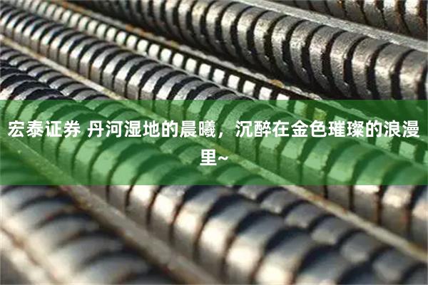 宏泰证券 丹河湿地的晨曦，沉醉在金色璀璨的浪漫里~