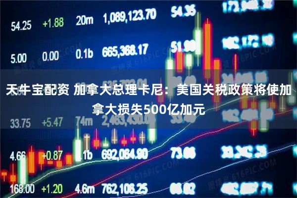 天牛宝配资 加拿大总理卡尼：美国关税政策将使加拿大损失500亿加元